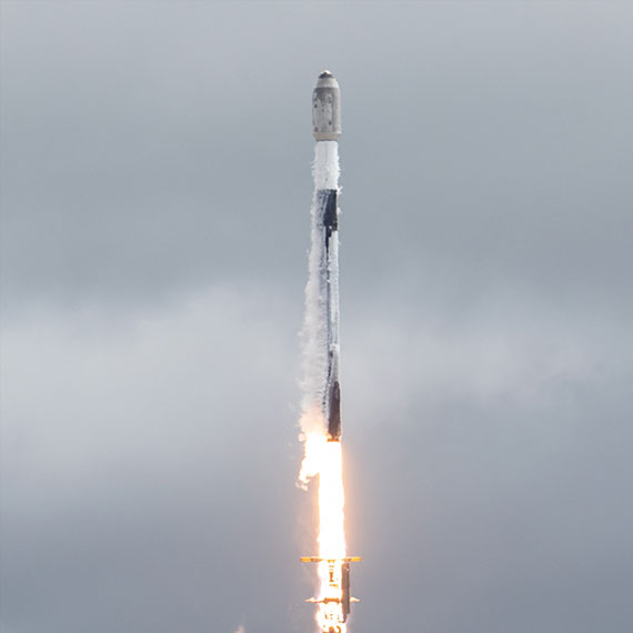 Preview image of Exomission