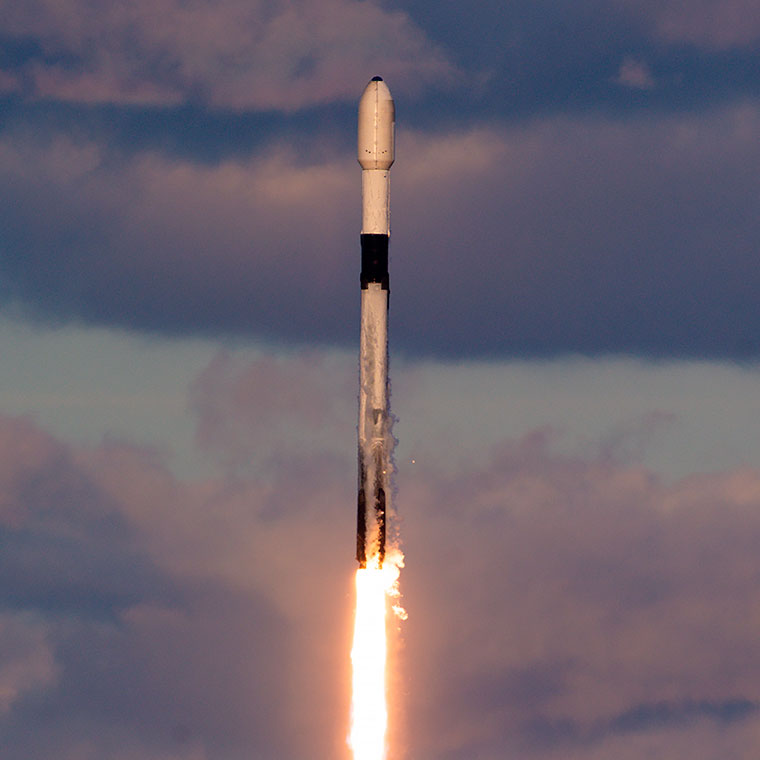 Preview image of Exomission