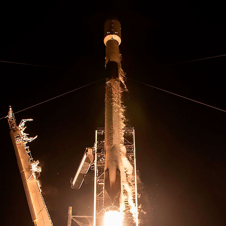 Preview image of Exomission