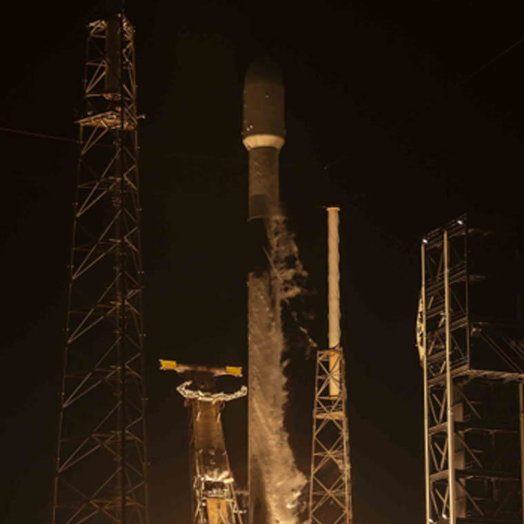 Preview image of Exomission