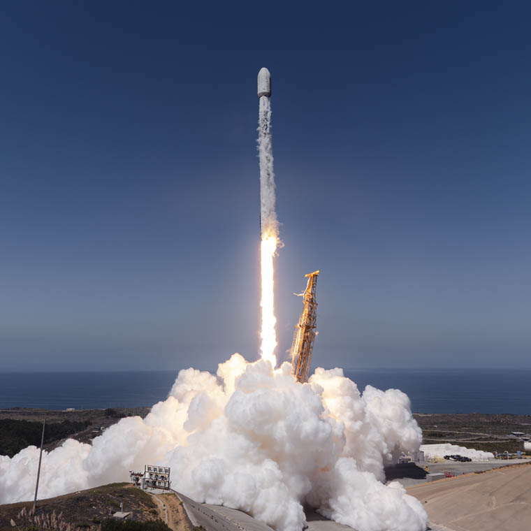 Preview image of Exomission